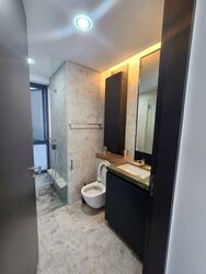 Skysuites@Anson (D2), Apartment #580759201